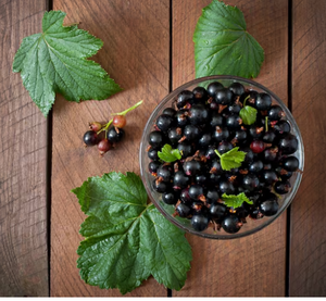 Black Currant